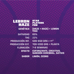LEBRON HAZE FOTO FEM - comprar online