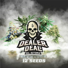 DEALER DEAL AUTOMIX