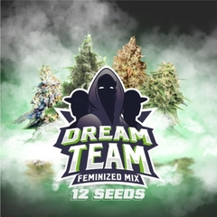 DREAM TEAM FEM MIX