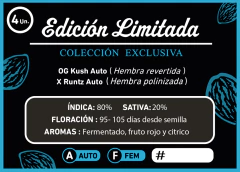 KUSHBERRY AUTO X4 (Edición limitada) en internet