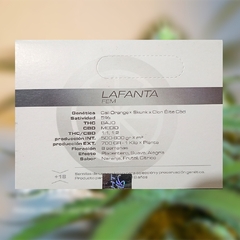 LA FANTA FOTO - FEM - CBD - comprar online