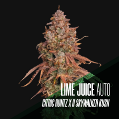 LIME JUICE AUTO