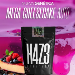 MEGA CHEESECAKE AUTO - Join Us Grow