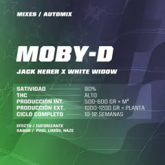 DREAM TEAM FEM MIX en internet