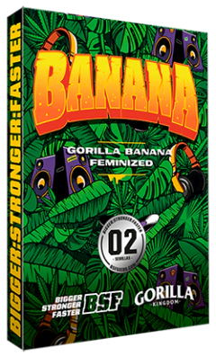 GORILLA BANANA FOTO FEM - Join Us Grow