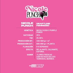NICOLE PUNCH FOTO FEM - comprar online