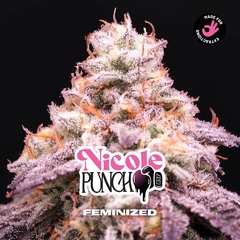 NICOLE PUNCH FOTO FEM