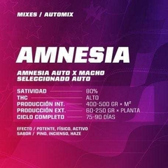 PSYCHO XXL AUTOMIX - comprar online