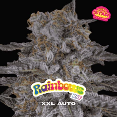 TUTTI FRUTTI XXL AUTOMIX - tienda online