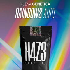 RAINBOWS AUTO - Join Us Grow