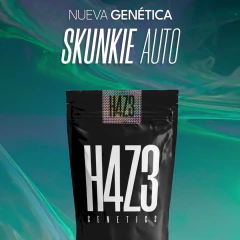 SKUNKIE AUTO en internet