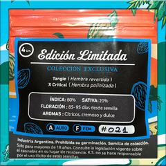 TANGIE BOOM AUTO X4 (edición limitada) - comprar online