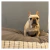 Pets Bed Tusor en internet