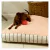 Pets Bed Tusor - tienda online