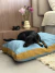 ALMOHADON PET DENIM - Bed House