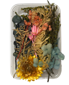 Pack flores plantas y hojas secas varias