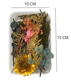 Pack flores plantas y hojas secas varias - comprar online