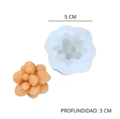 MOLDE SILICONA SUCULENTA MEDIANA - MODELO C - comprar online