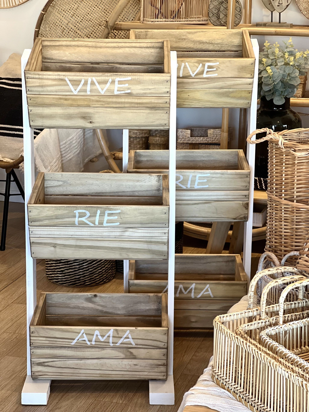 ORGANIZADOR VIVE, RIE, AMA