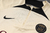 Conjunto Paris Saint Germain 23/24 Nike Masculino - Bage e Preto na internet