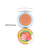 Blush Ursinhos Carinhosos - Dalla - comprar online