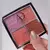 PALETA VOGLIA BLUSH ALYCE GONTIJO