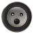 TENSOR CORREIA ALTERNADOR SANDERO-CLIO - comprar online