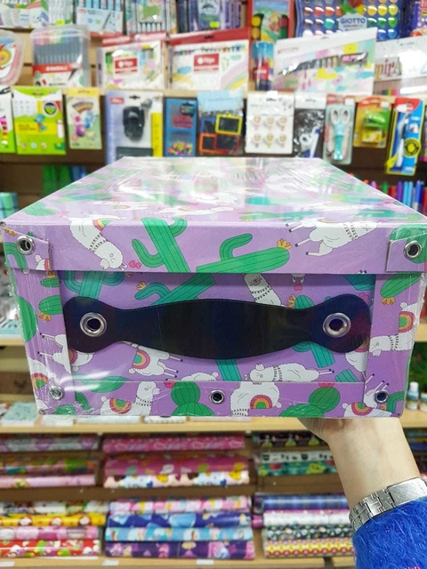 Caja Llamas - A4 (31 X 22.5 X 12.5 Cm)