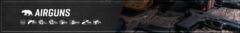 Banner da categoria AIRGUNS