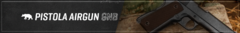 Banner da categoria PISTOLA AIRGUN GNB