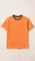 Remera Standard Graphic 4 - comprar online