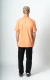 Remera Standard Camp Local Coral en internet