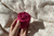 Imagen de Satisfyer Pro 2 Classic Blossom Succionador