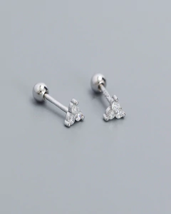 Pasantes papita (unidad)