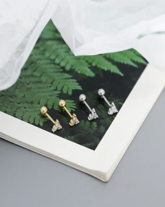 Pasantes papita (unidad) en internet