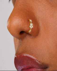 Piercing Riley (unidad) en internet