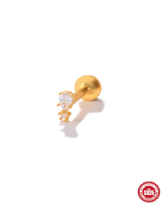 Pasante Liliane (unidad)