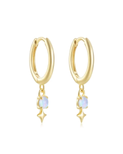 Argollitas galaxia (par)