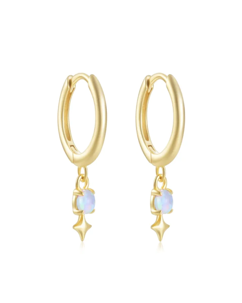 Argollitas galaxia (par)