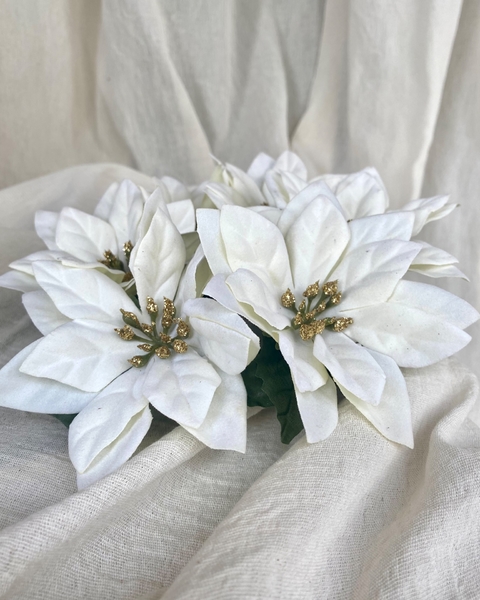 Arreglo Estrella federal