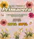 Banner de Jasmim Flor Joias