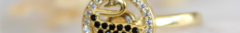 Banner de la categoría Anillos Giratorios