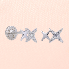 Aros Plata Tingio