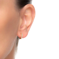 Aros bañados Leofcar - comprar online