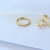 Anillo Bañado Pontis