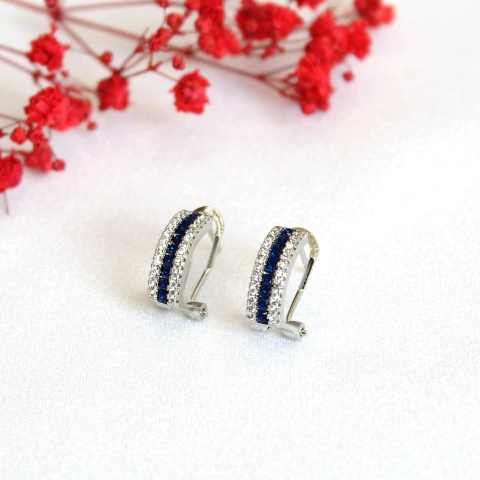 Aros Plata Fimbria - comprar online