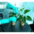 LUVA NITRILICA G VERDE 1 PAR - VABENE - comprar online