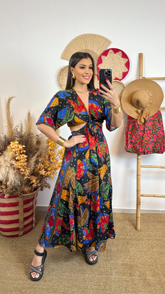 Conjunto Luanda - Stapellia