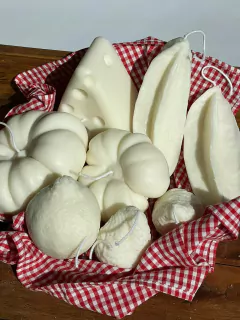 Vela Picnic Carambola - comprar online