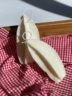 Vela Picnic Carambola na internet